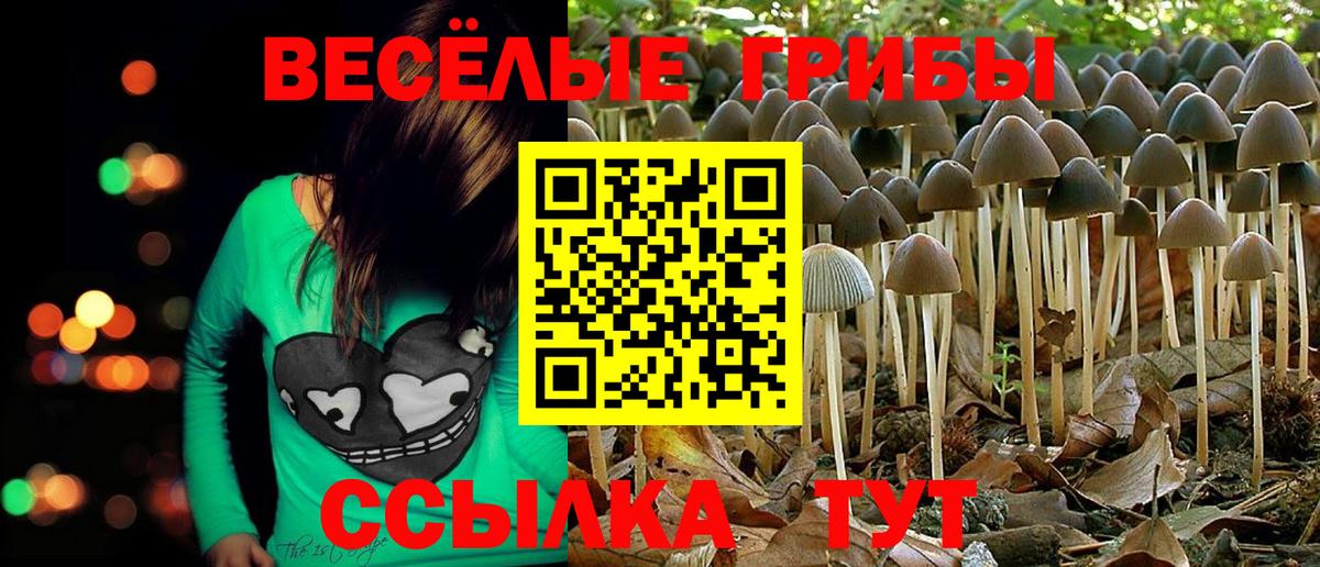 Галлюциногенные грибы мухоморы  Вход с VPN  наркошоп  Псилоцибиновые грибы мицелий  Еманжелинск 